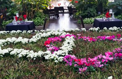 Valentine's Day Calgary 2019 date ideas Calgary Zoo